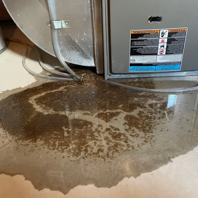 Pipe Burst and Leak Restoration in Jackson County, CO